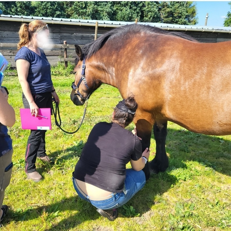 20251023_221028_0000 (1)