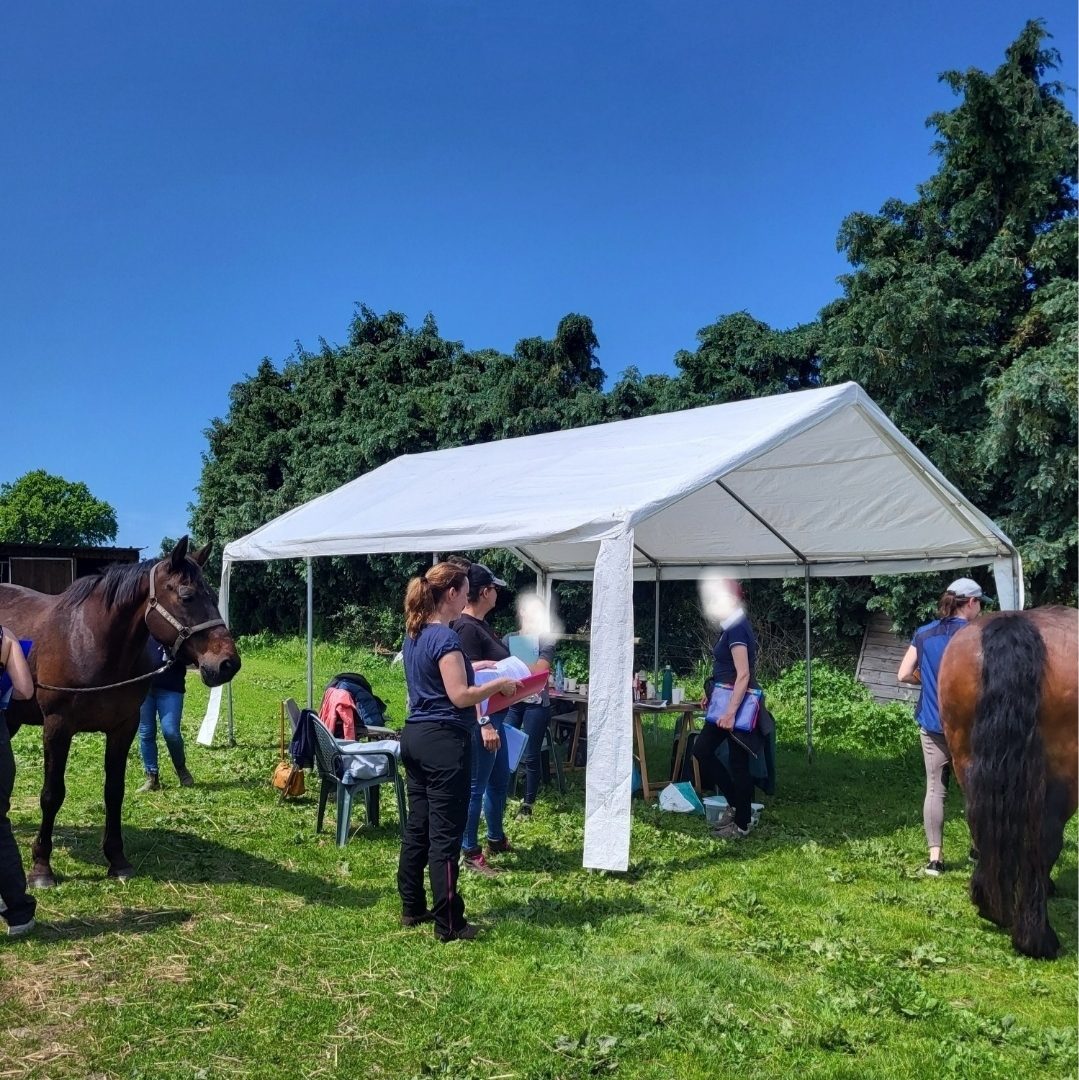 20251023_221327_0000ok